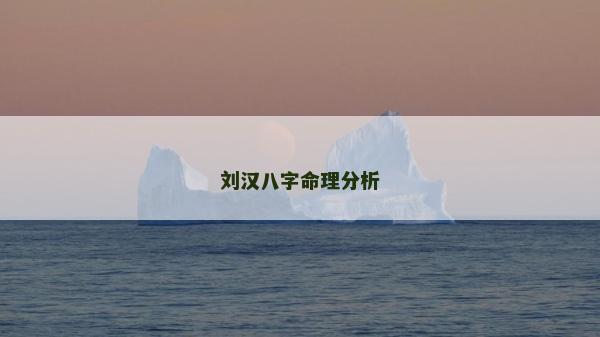 刘汉八字命理分析