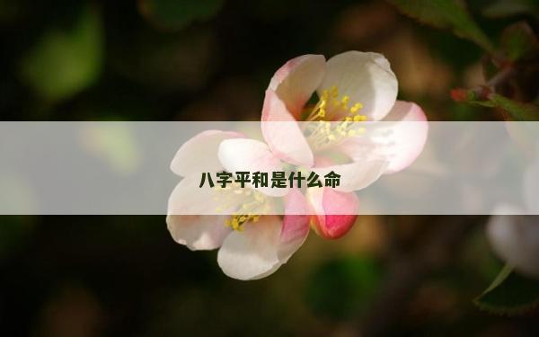 八字平和是什么命