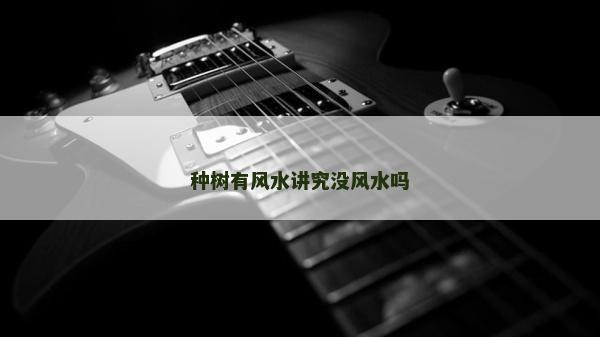 种树有风水讲究没风水吗