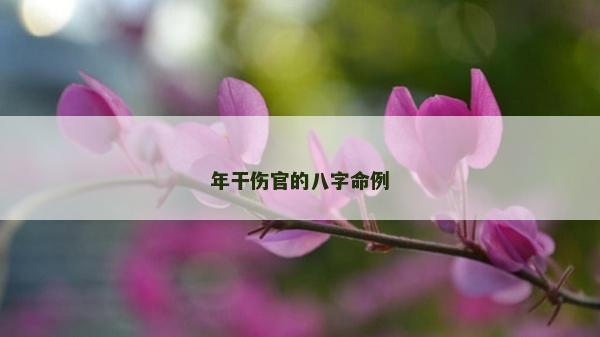 年干伤官的八字命例