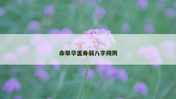 命带华盖身弱八字纯阴