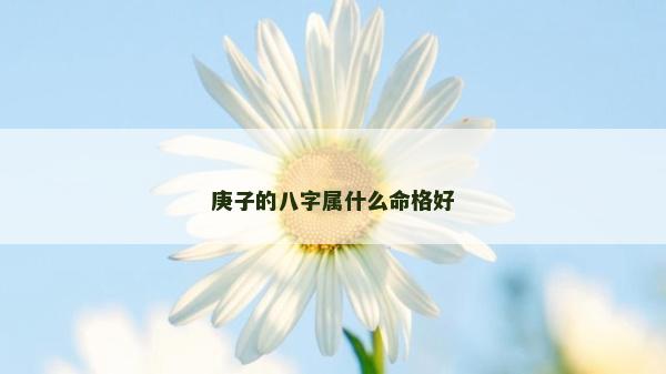 庚子的八字属什么命格好