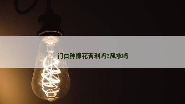 门口种棉花吉利吗?风水吗