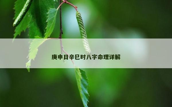 庚申日辛巳时八字命理详解