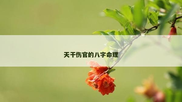 天干伤官的八字命理