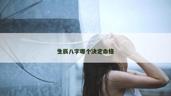 生辰八字哪个决定命格