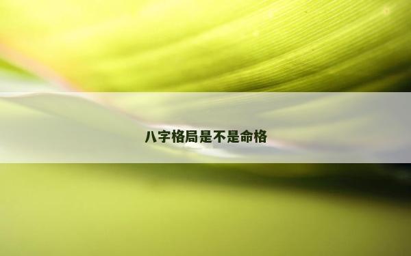 八字格局是不是命格