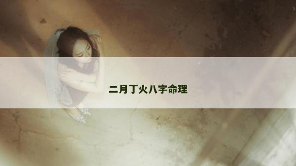 二月丁火八字命理