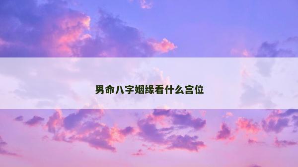 男命八字姻缘看什么宫位