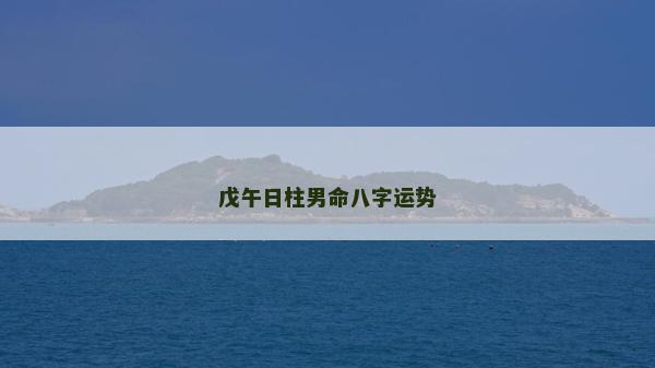 戊午日柱男命八字运势