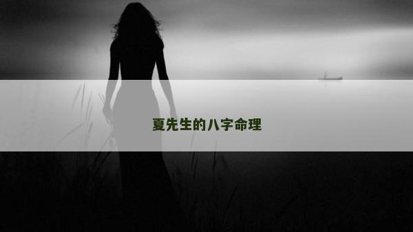 夏先生的八字命理