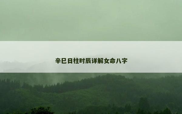 辛巳日柱时辰详解女命八字