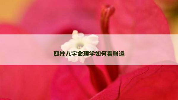 四柱八字命理学如何看财运