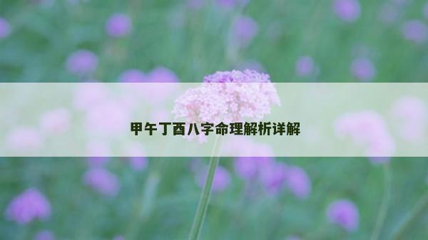 甲午丁酉八字命理解析详解