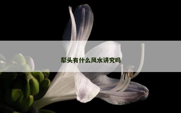 犁头有什么风水讲究吗