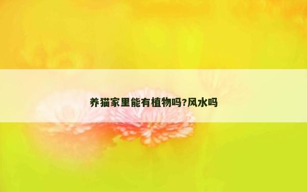 养猫家里能有植物吗?风水吗