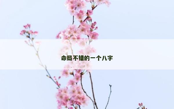 命局不错的一个八字