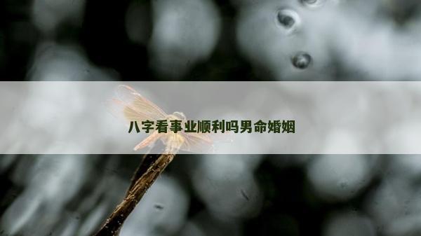 八字看事业顺利吗男命婚姻