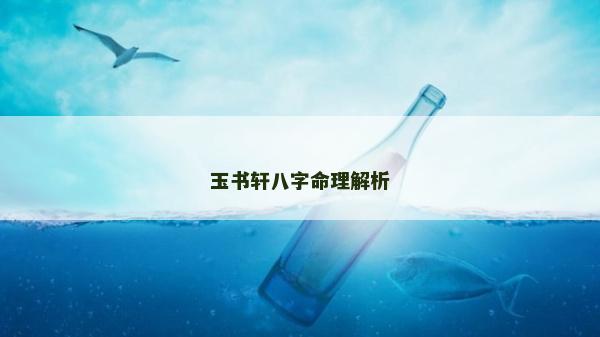 玉书轩八字命理解析