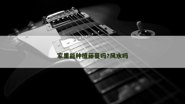 家里能种植藤蔓吗?风水吗