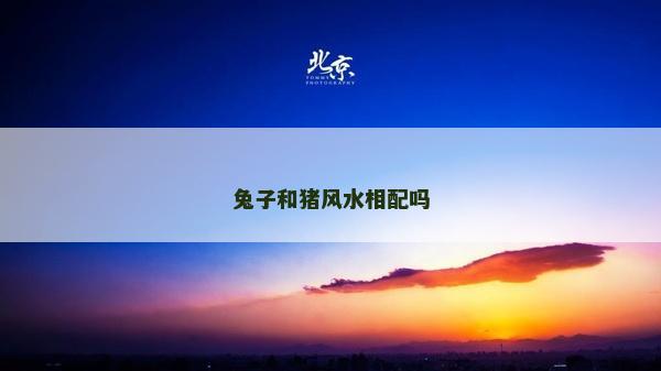 兔子和猪风水相配吗