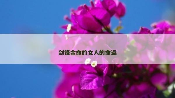 剑锋金命的女人的命运