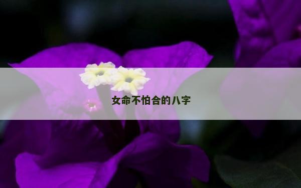 女命不怕合的八字