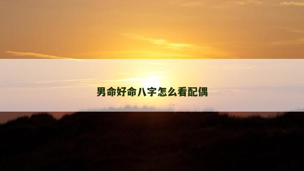 男命好命八字怎么看配偶