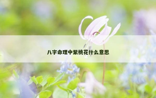 八字命理中紫桃花什么意思