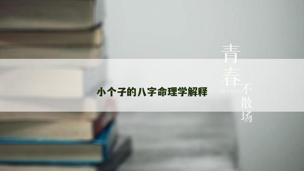 小个子的八字命理学解释