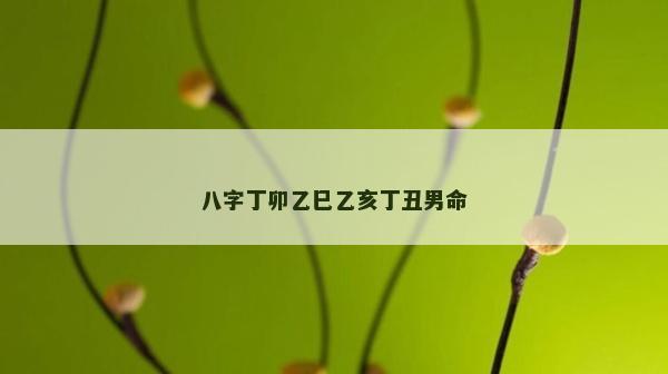 八字丁卯乙巳乙亥丁丑男命