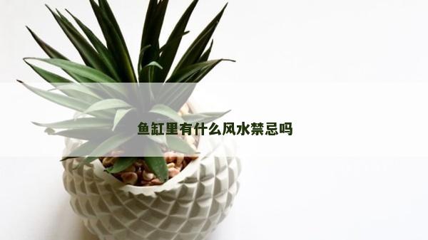 鱼缸里有什么风水禁忌吗