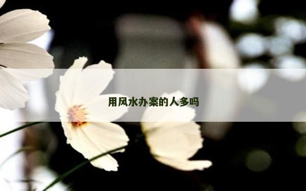 用风水办案的人多吗
