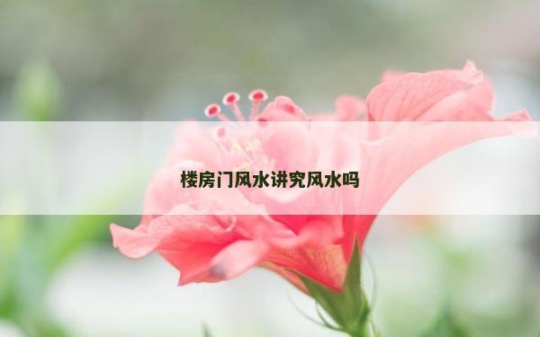 楼房门风水讲究风水吗