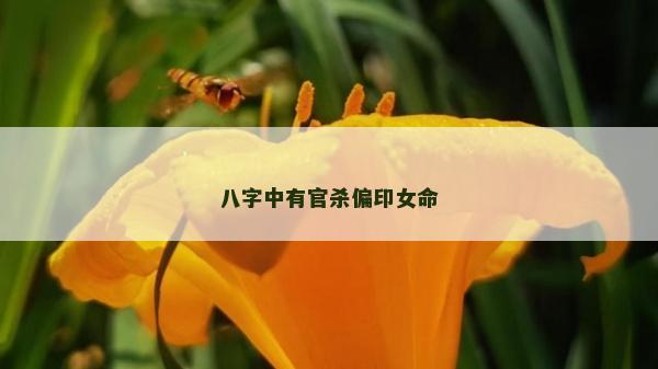 八字中有官杀偏印女命