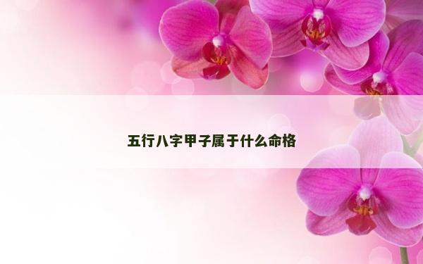 五行八字甲子属于什么命格