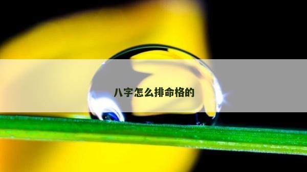 八字怎么排命格的