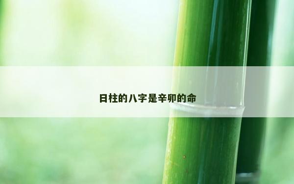 日柱的八字是辛卯的命