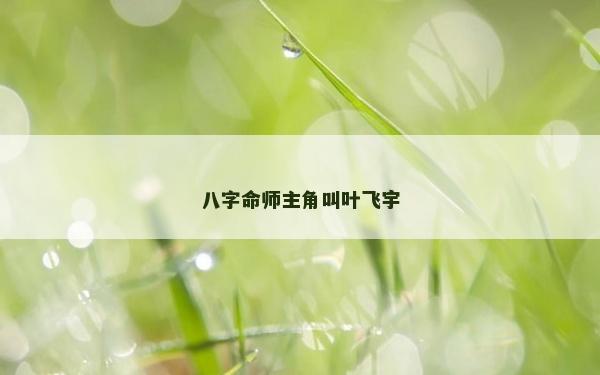 八字命师主角叫叶飞宇