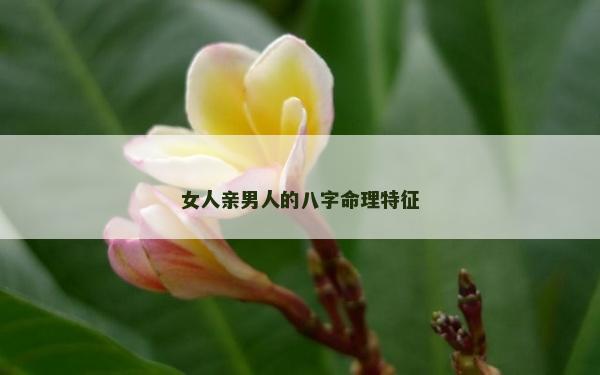 女人亲男人的八字命理特征