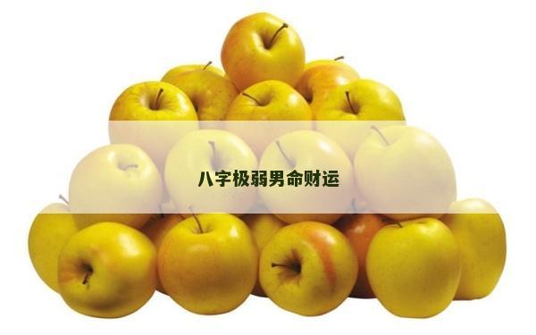 八字极弱男命财运