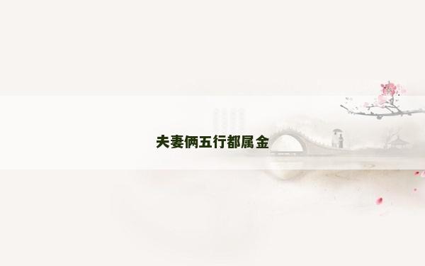 夫妻俩五行都属金