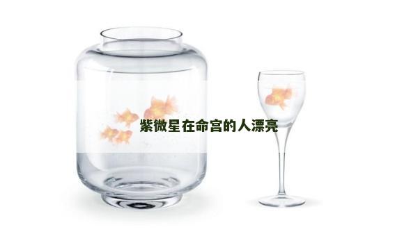 紫微星在命宫的人漂亮