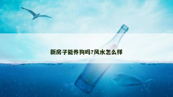 新房子能养狗吗?风水怎么样