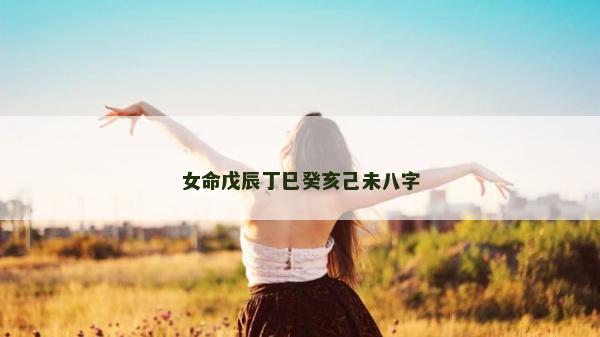 女命戊辰丁巳癸亥己未八字