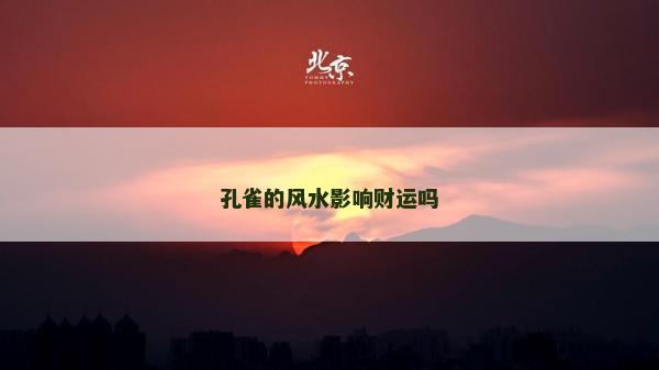 孔雀的风水影响财运吗