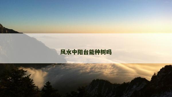 风水中阳台能种树吗