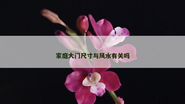 家庭大门尺寸与风水有关吗