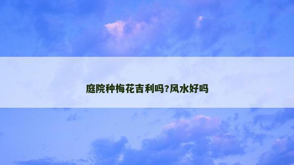 庭院种梅花吉利吗?风水好吗