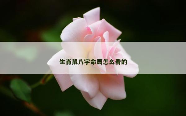 生肖鼠八字命局怎么看的